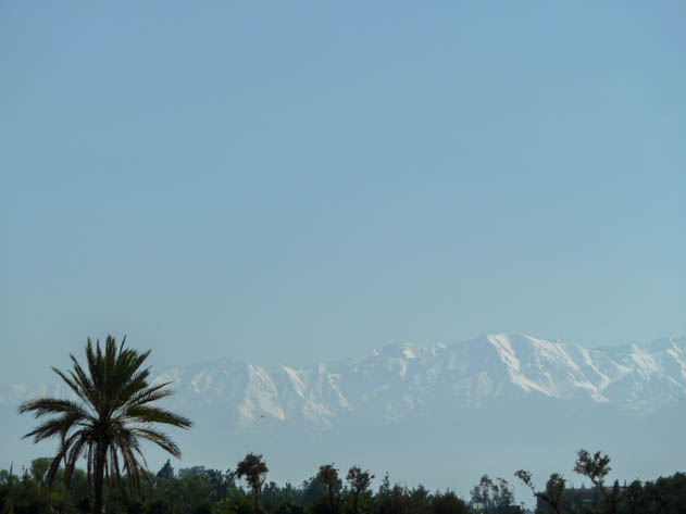 View of the Palmeraie and the snowed Atlas in the back