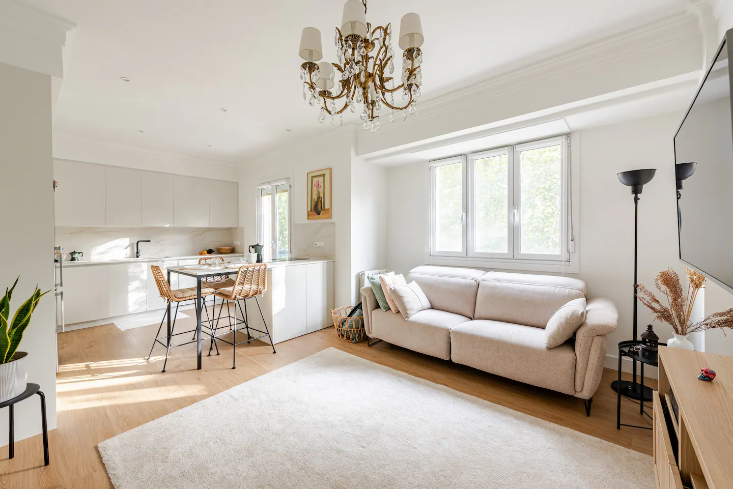 Bright and spacious living room