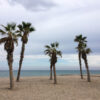 Things to do in Alicante (playa de San Juan)