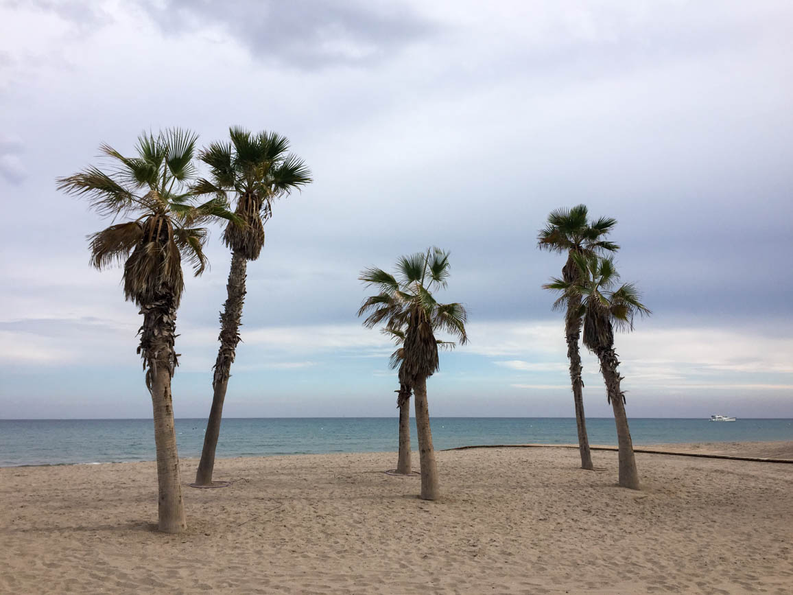 Things to do in Alicante (playa de San Juan)