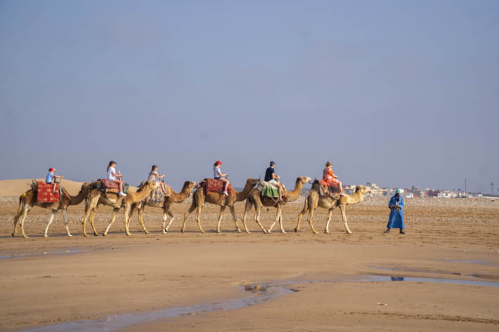 Tourists riding camels with Diabat in the background
