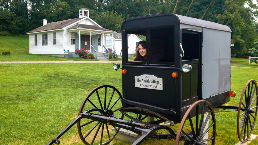 Posing inside an Amish buggy