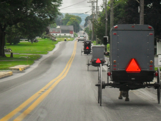 Amish buggy on country road